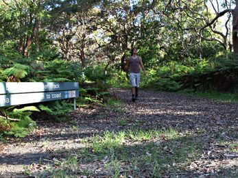 Banks Solander track Kamay Botany Bay National Park Photo Andy Richards