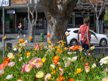 Gymea Shopping Village