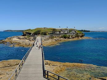 Boardwalk to Bare Island Fort La Perouse Kamay Botany Bay National Park Photo E Sheargold OEH
