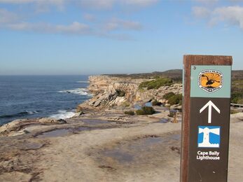 Park sign pointing to Cape Baily lighthouse set against a vista of ocean rugged rocky coastline