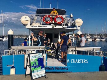 Cronulla whale watching tours Cronulla Sydney