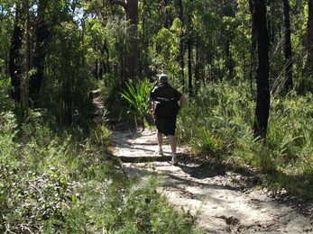 Bushwalker on the Karloo walking track Photo Andy Richards