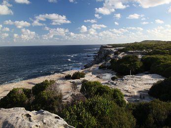 Cape Solander Kamay Botany Bay National Park Photo Andy Richards