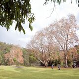 Ironbark Flat picnic area