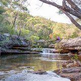 Kingfisher Pool picnic area