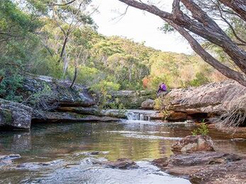 Kingfisher Pool picnic area Heahtcote National Park Photo Nick Cubbin amp copy OEH