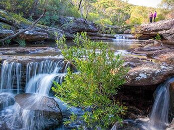 Kingfisher Pool picnic area Heahtcote National Park Photo Nick Cubbin amp copy OEH