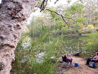 Lake Eckersley campground Heathcote National Park Photo Nick Cubbin amp copy OEH