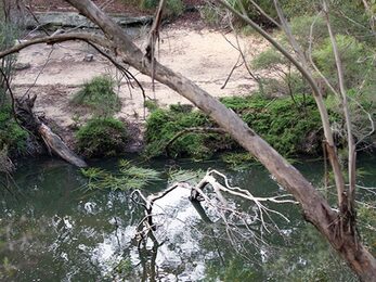 Mirang Pool campground in Heathcote National Park Photo Nick Cubbin DPIE