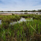 Towra Point Nature Reserve