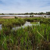 Towra Point Nature Reserve