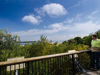 Quibray Bay viewing platform Towra Point Nature Reserve Photo John Spencer NSW Government