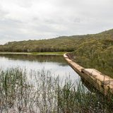 Lake Toolooma Trail